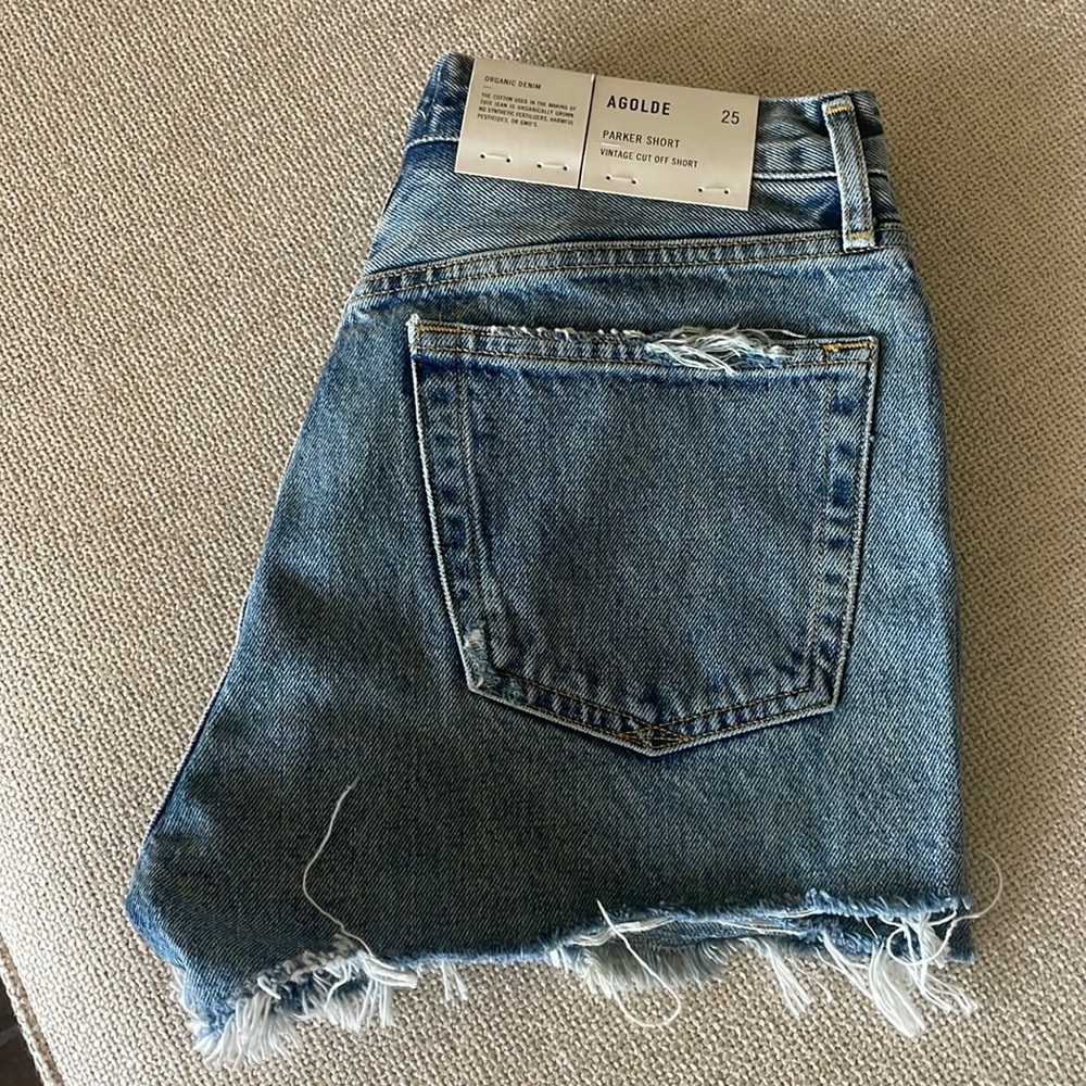 Agolde Parker Short